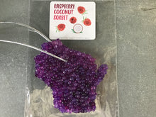 Load image into Gallery viewer, Air Fresheners- Wisconsin Shape