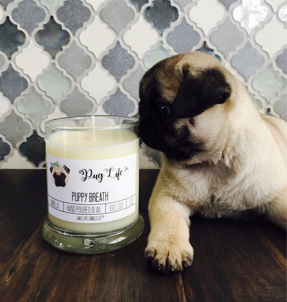 Candle- Pug Life 