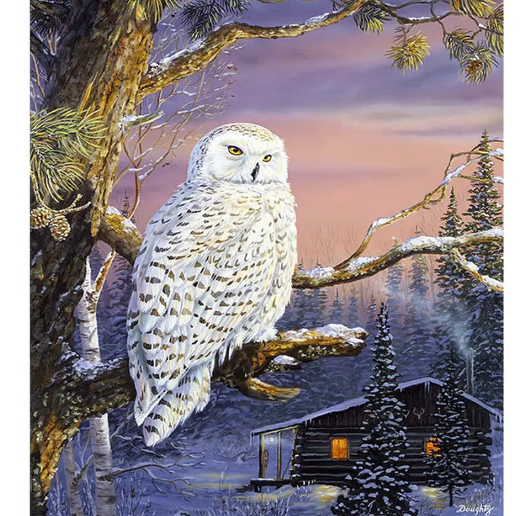 Paint By Number Kit- Snow Owl